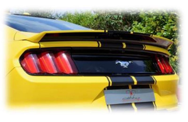 Mustang Kohle faser frp Heckspoiler Heckflügel Lippe fit für Ford
